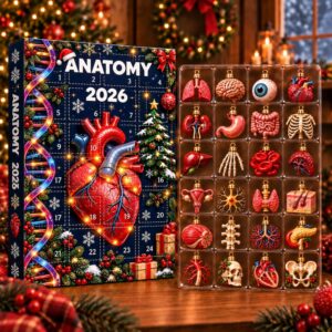 Human Body Anatomy Mystery Calendar 2026